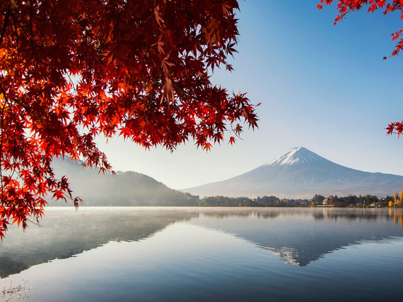 Görkemli Uzaklar Hong Kong & Japonya 8 Gece - THY ile 25 Temmuz (2026 Yaz Dönemi) (HKG - NRT) AT1315