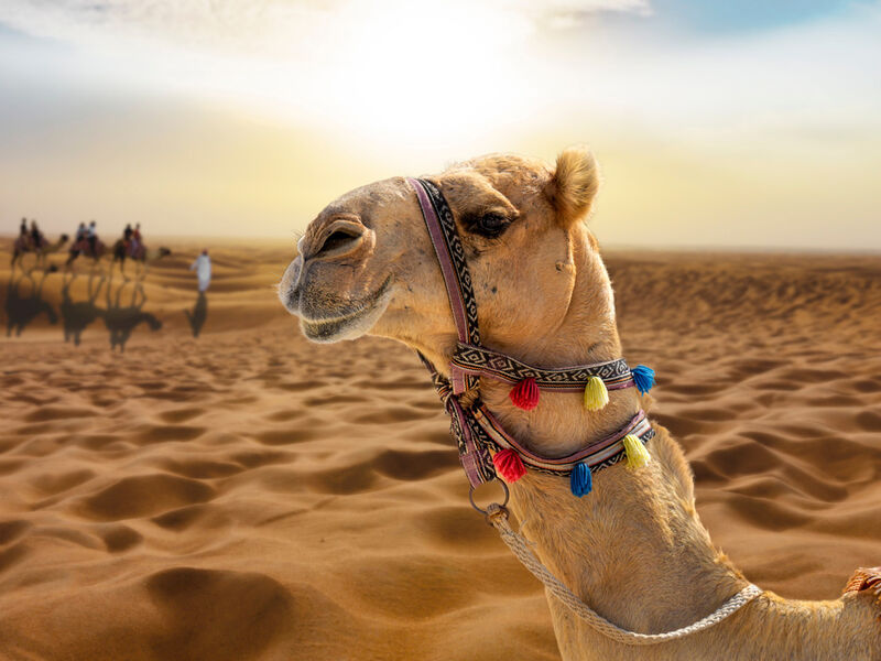 Dubai Serüveni Fly Dubai Hava Yolları ile 4 Gece 2026 Dönemi SAW