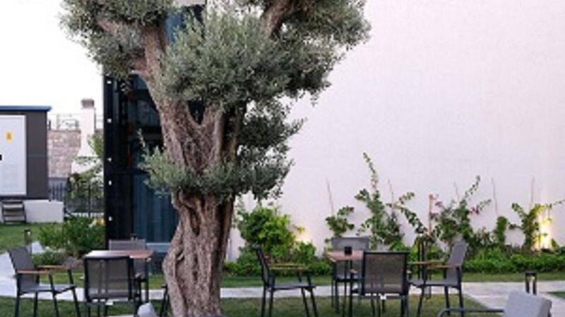 Celeste Bella Luxury Hotel & Spa