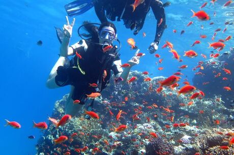 Sharm El Sheikh Turu Ekstra Turlar Dahil 5 Gece Konaklamalı 