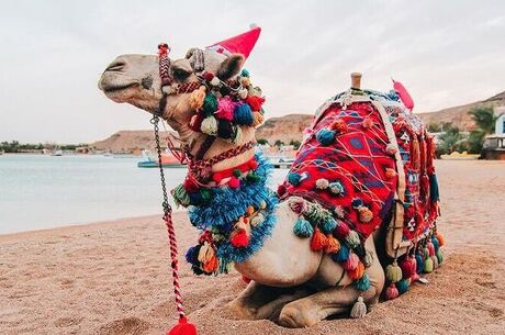 Sharm El Sheikh Turu Ekstra Turlar Dahil 5 Gece Konaklamalı / İstanbul , İzmir ve Antalya Çıkışlı