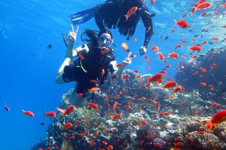 Sharm El Sheikh Turu Ekstra Turlar Dahil 5 Gece Konaklamalı 