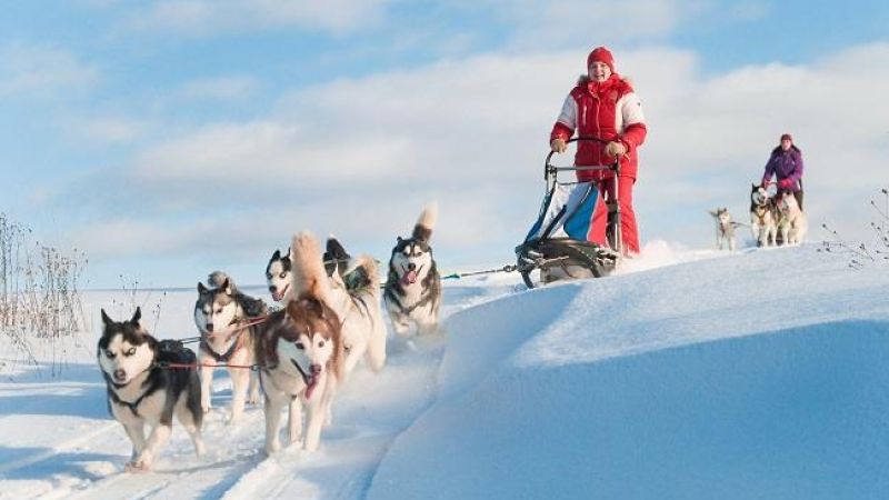 BÜYÜLEYİCİ KUZEY IŞIKLARI & LAPLAND -2027